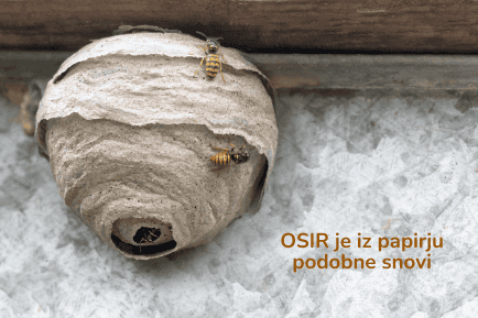 osir