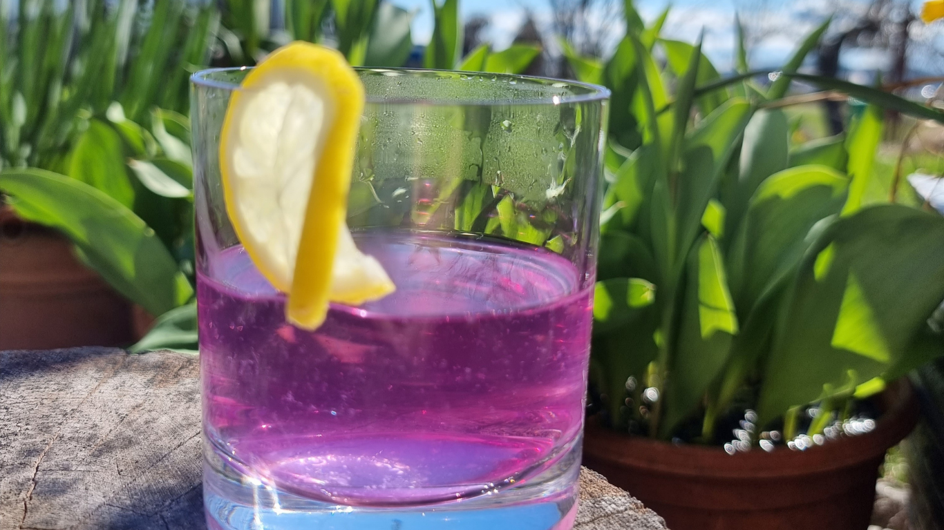 sirup iz vijolic